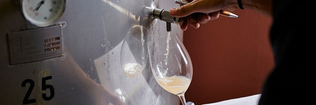 Prueba y degusta tu vino tras la fermentación 