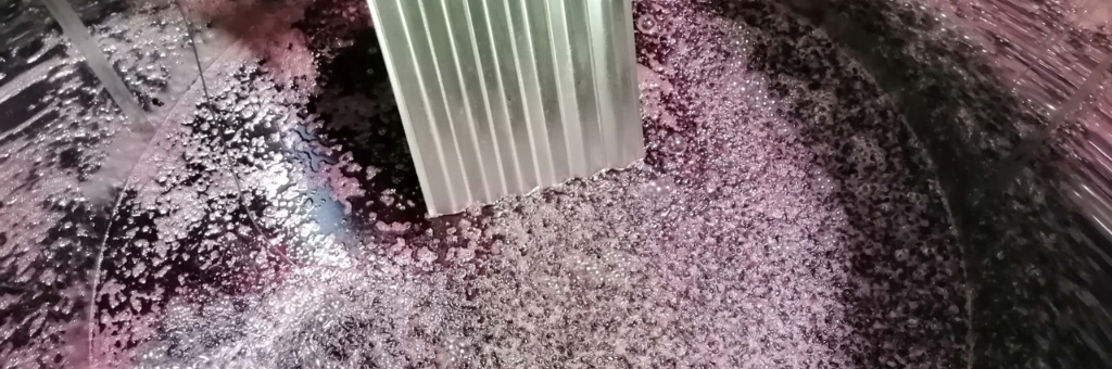 hacer vino cómo elaborarlo paso a paso